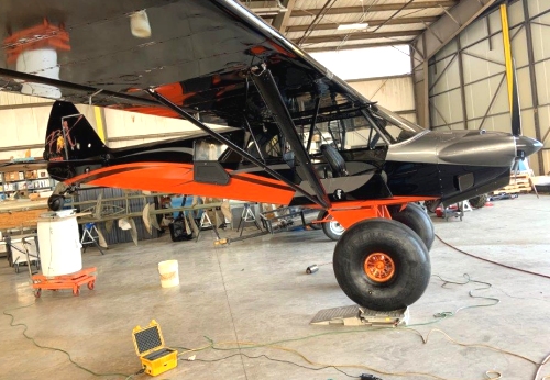 Carbon Cub On Scales